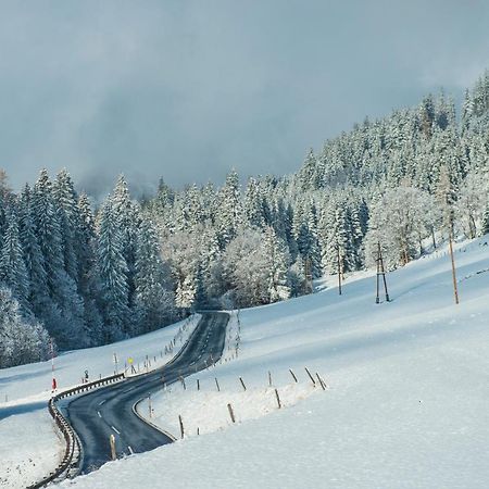 Ferienbauernhof Elmaugut Villa Mühlbach am Hochkönig Exteriör bild