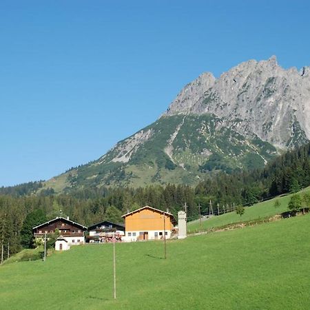 Ferienbauernhof Elmaugut Villa Mühlbach am Hochkönig Exteriör bild