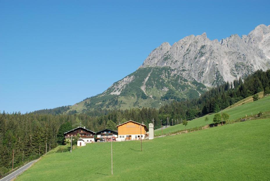 Ferienbauernhof Elmaugut Villa Mühlbach am Hochkönig Exteriör bild